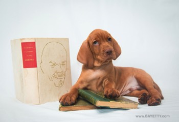  B'Alfred Bayetty 