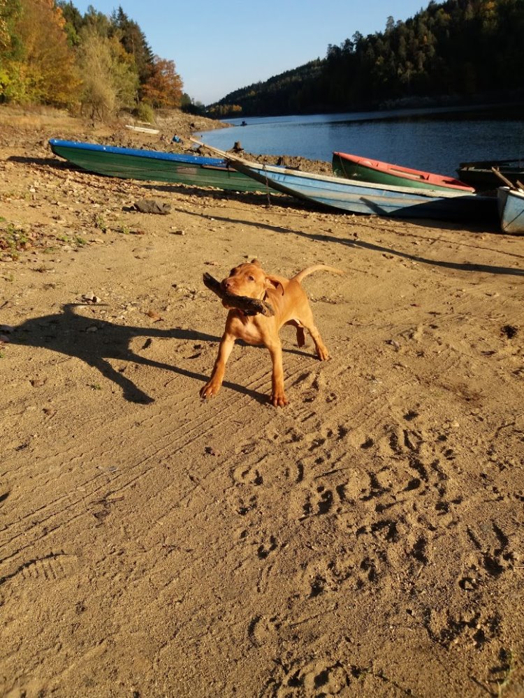  Barro Bayetty 
