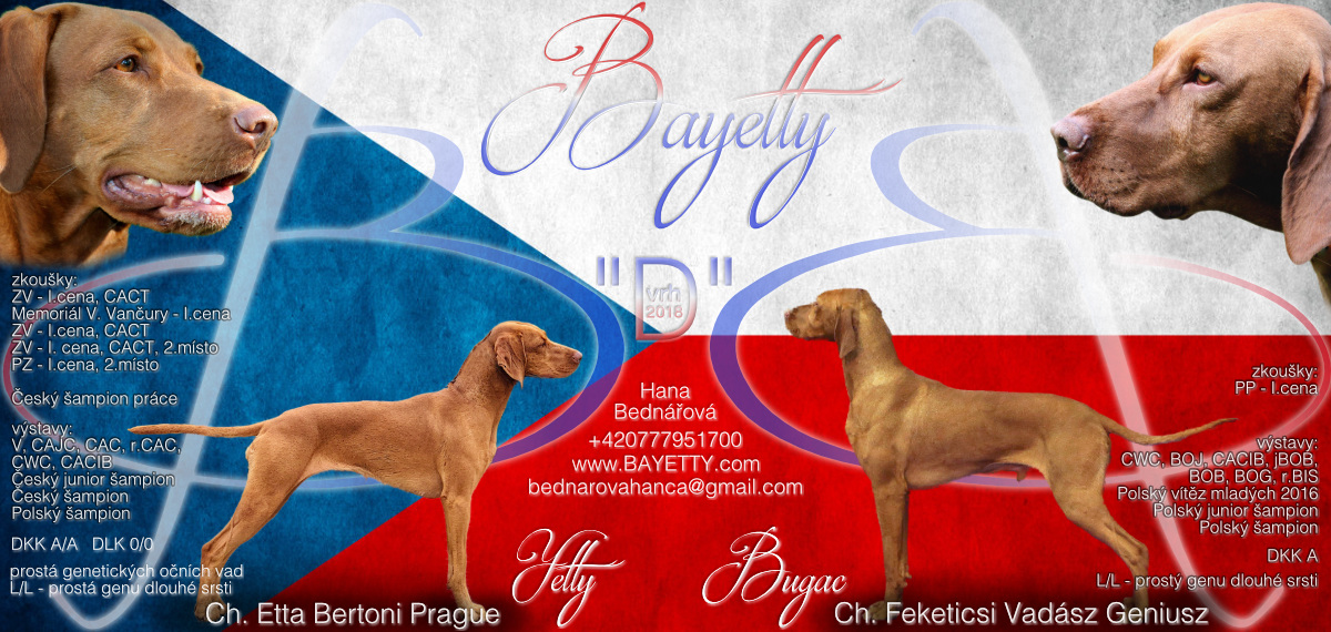  Bayetty vhr D plakat 