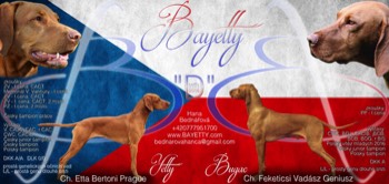  Bayetty vhr D plakat 