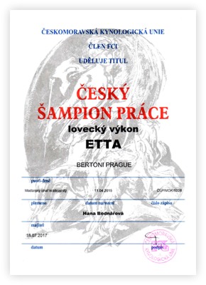 Chovatelska_stanice_Bayetty_Praha_lovecky_vykon_myslivost