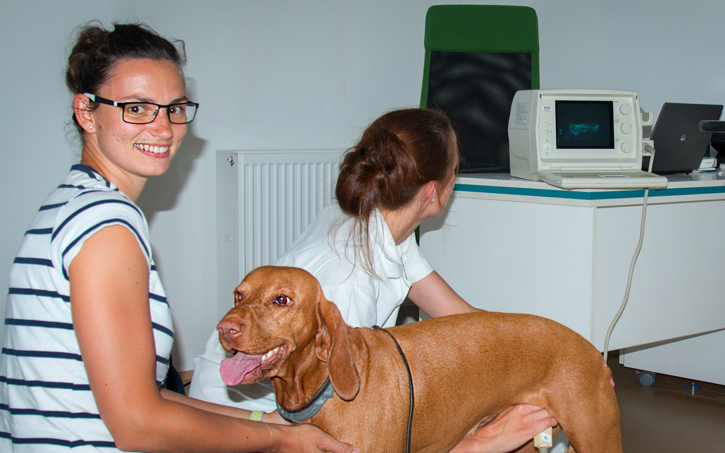  Babettka BP březost 2017 