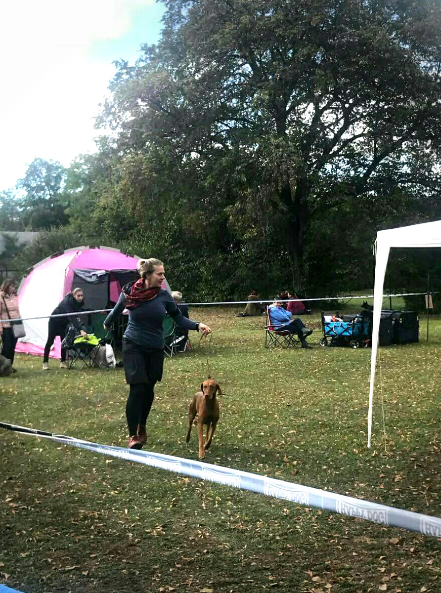  Emilie_Bayetty_Vizsla_MOK 