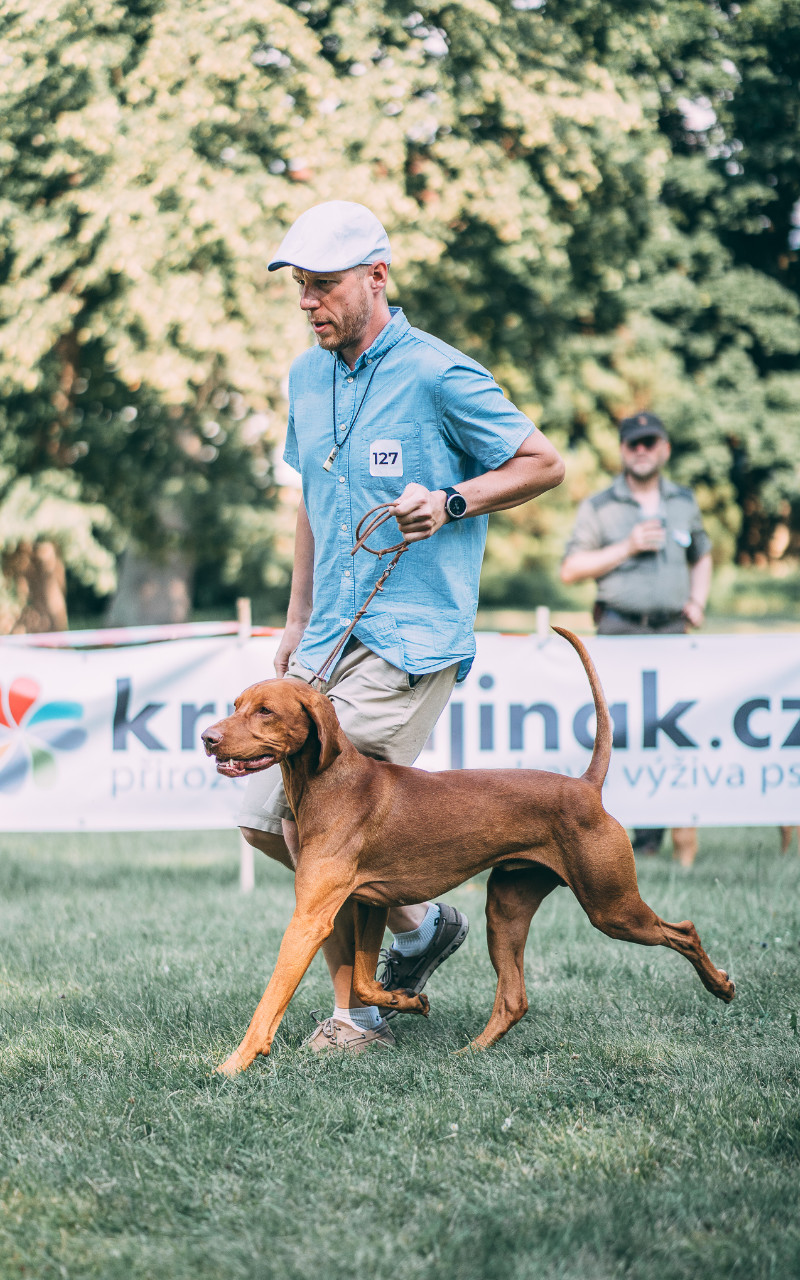  Desmond Bayetty vystva Zakuy 2020 