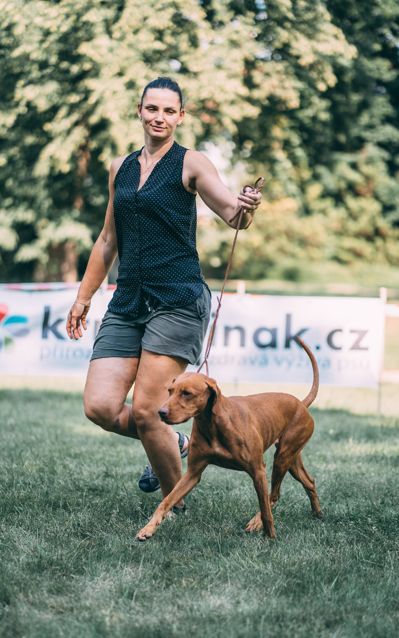  Yetty Bayetty výstava Zákupy 2020  Madarsky Ohar 