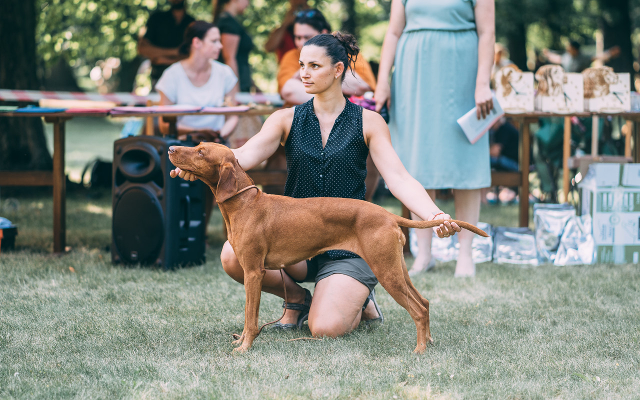  Yetty Bayetty vystava Zakupy 2020 postoj  Madarsky Ohar 