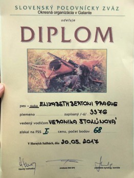  Elizabethka Diplom 