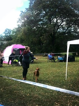  Emilie_Bayetty_Vizsla_MOK 
