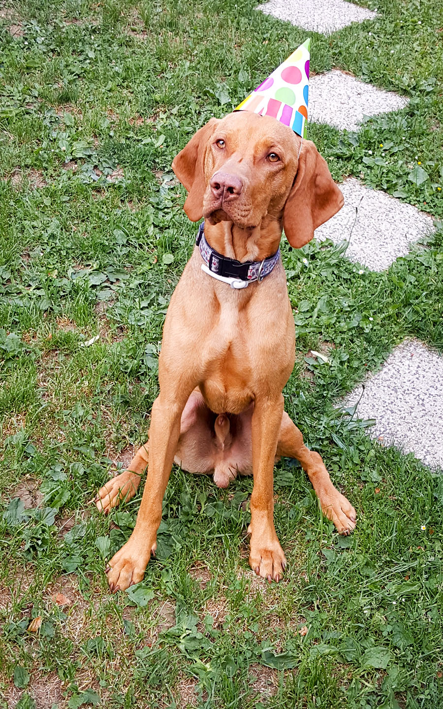  Akyrro Bayetty 1. narozeniny 