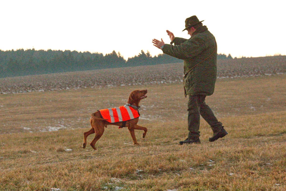  Chs Bayetty MOK Praha 