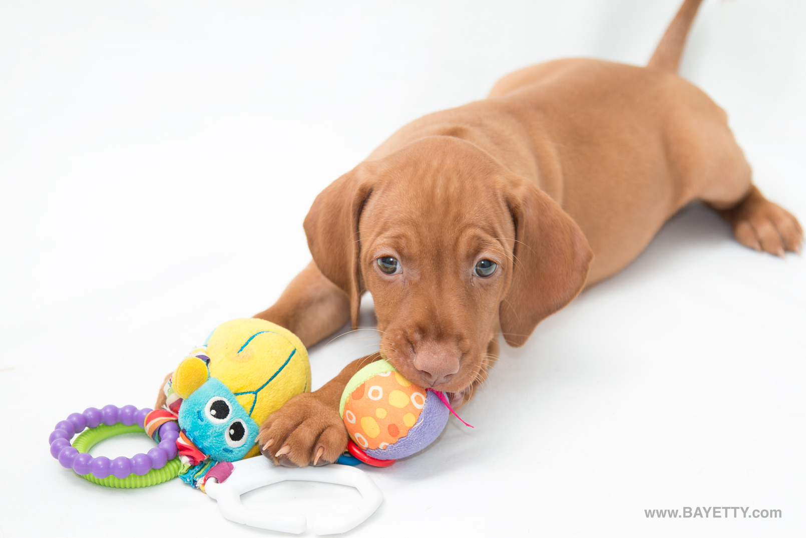  Babettka Bayetty hračka 