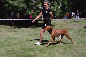  Bagheera Bayetty Zákupy 