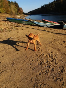  Barro Bayetty 