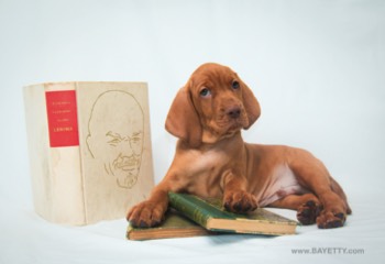  B'Alfred Bayetty 