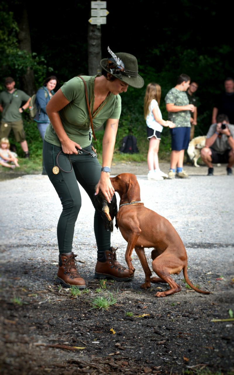  Bayetty_Carra_stene_ohare_mok_spolecna 