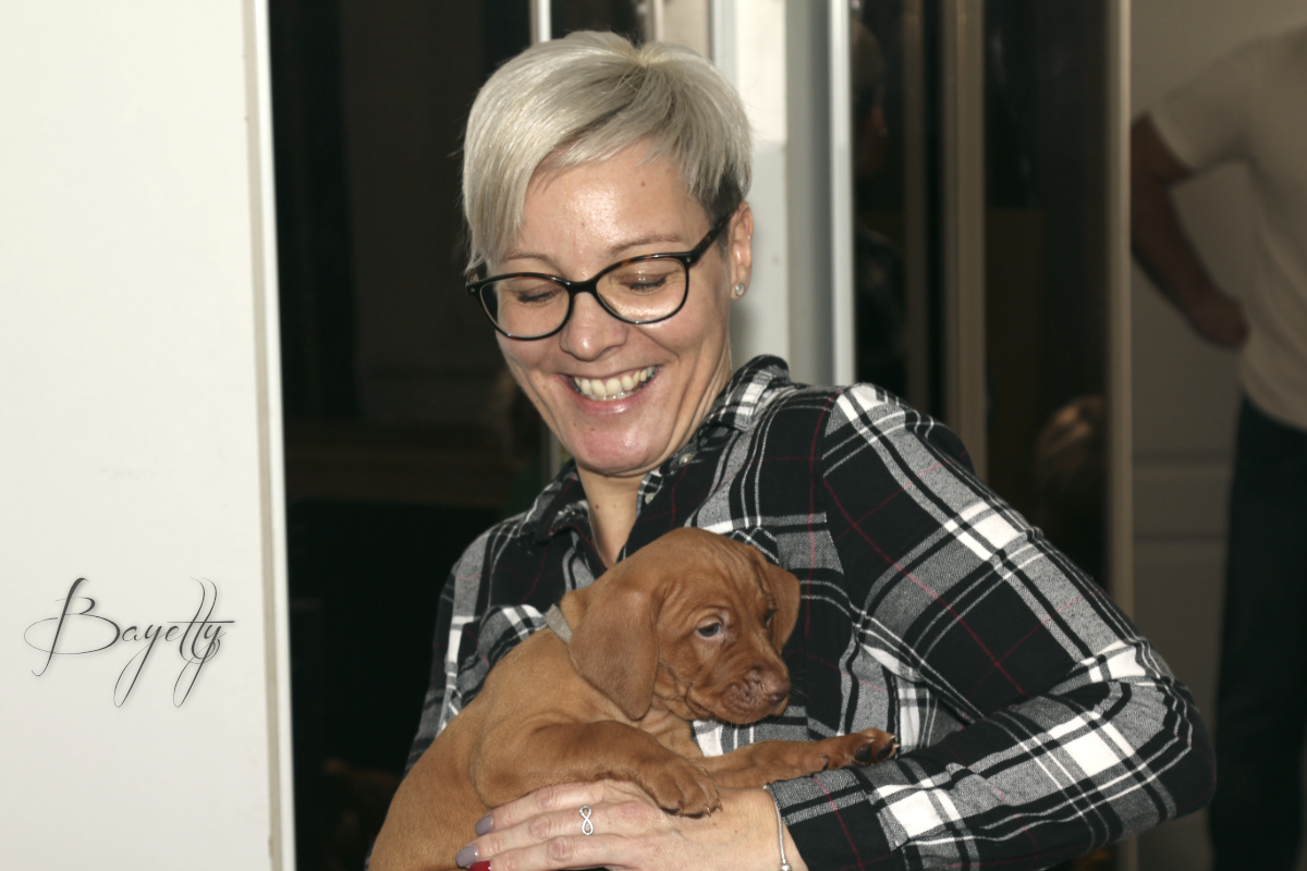  Coddy Bayetty chovatelská stanice maďarských ohařů krátkosrstých MOK 