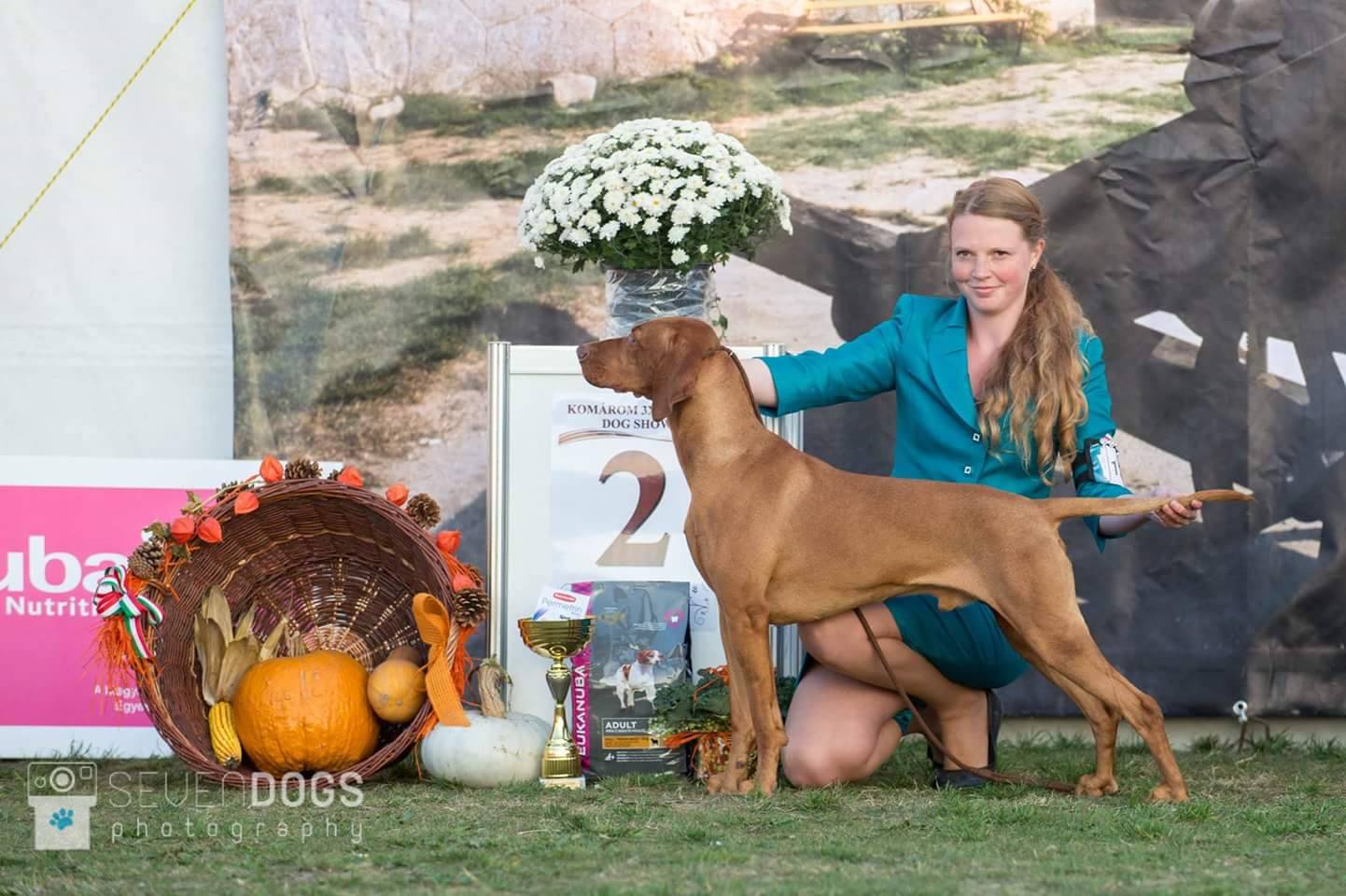  Ch. Best of Casa de Canela Jitka Svobodová 