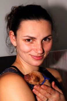  stenata_MOK_Praha_madarsky_ohar_kratkosrsty_ 