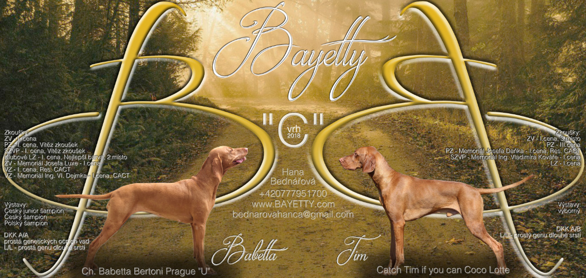 Bayetty_vrh_C_stenata_madarsky_ohar_kratkosrsty_Praha_MOK