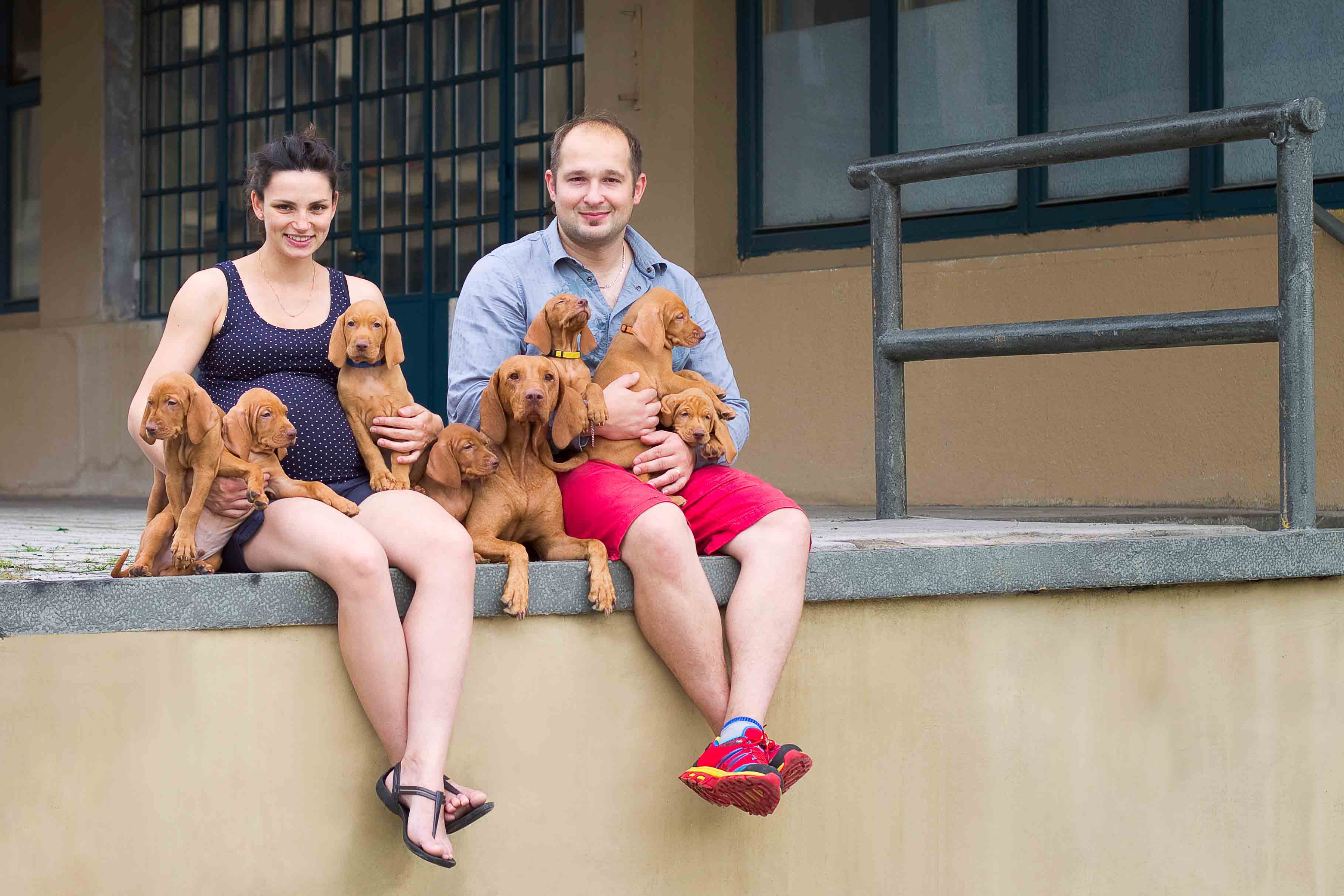 štěně_madarsky_ohar_Bayetty_Praha   Bayetty_MOK_Madarsky_ohar_kratkosrsty_Praha_dog_puppy