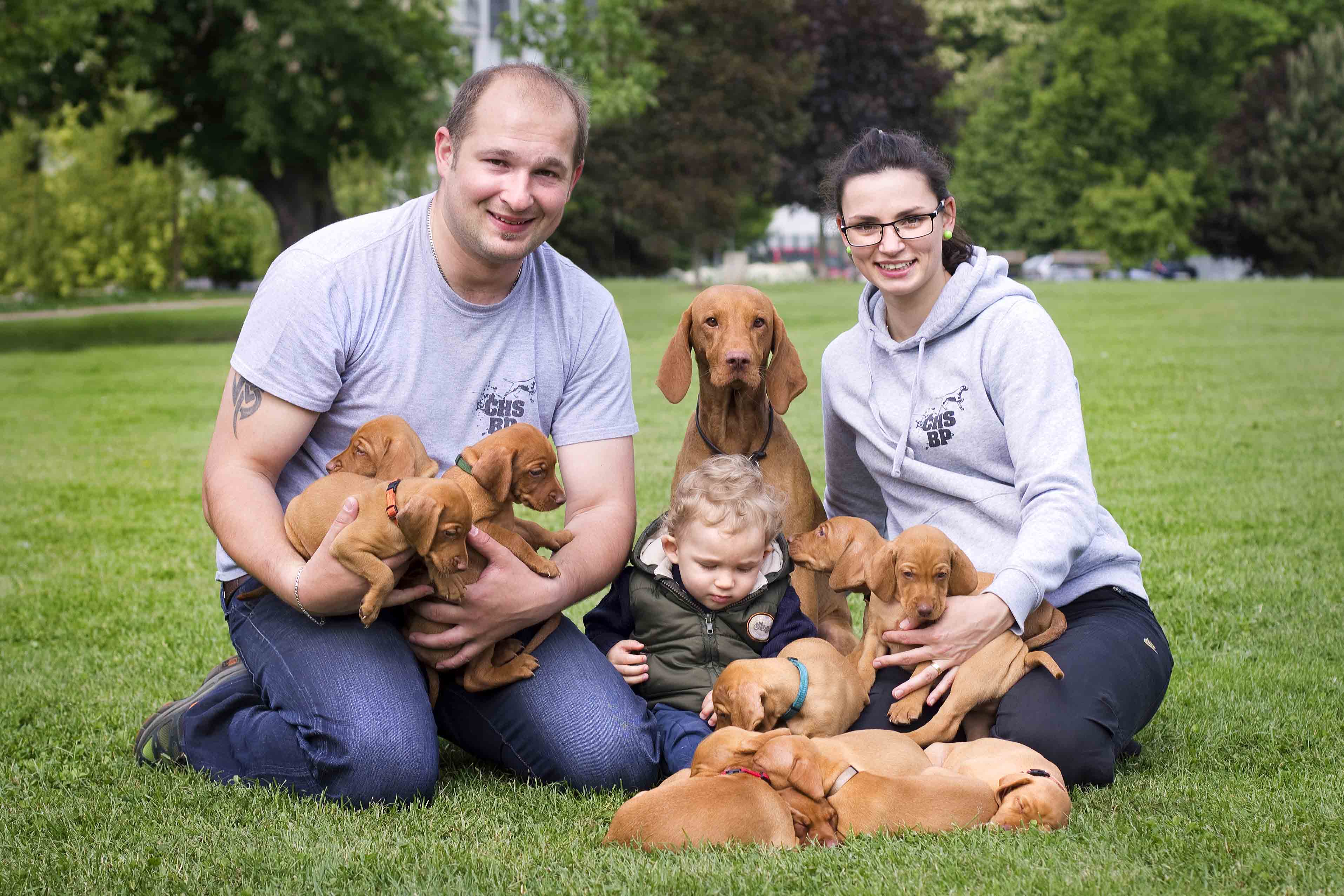 Bayetty_MOK_Madarsky_ohar_kratkosrsty_Praha_vrh_A   štěně_madarsky_ohar_Bayetty_Praha