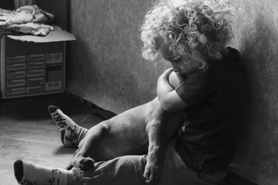 Bayetty_MOK_Madarsky_ohar_kratkosrsty_Praha_dog_puppy   Bayetty_MOK_Madarsky_ohar_kratkosrsty_Praha_štěňata