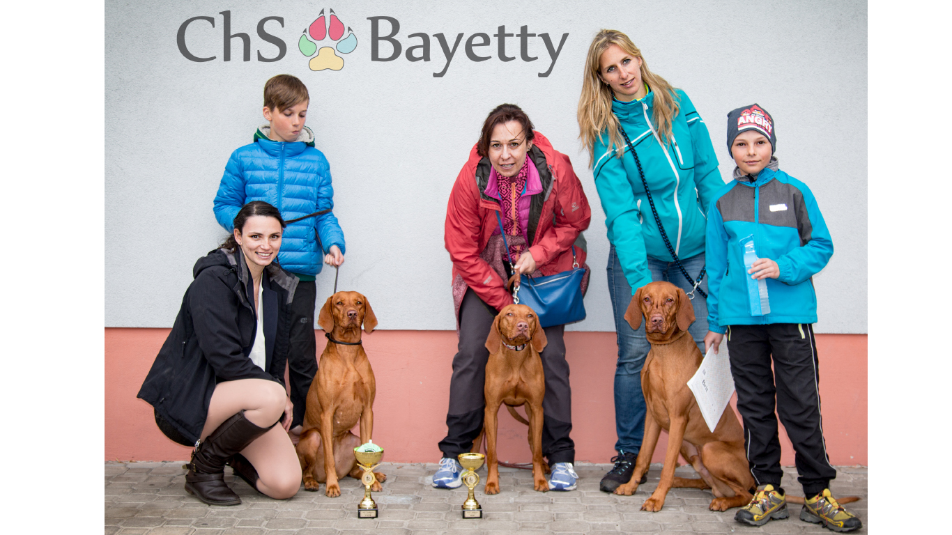  CHS Bayetty 