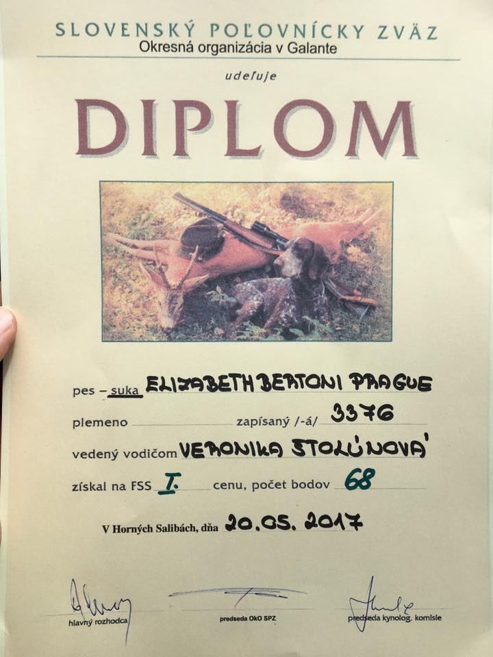  Elizabethka Diplom 