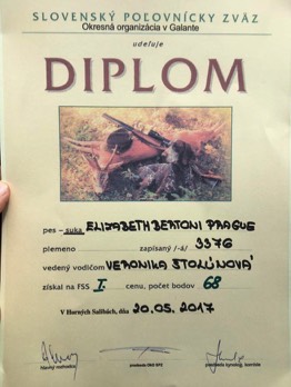  Elizabethka Diplom 