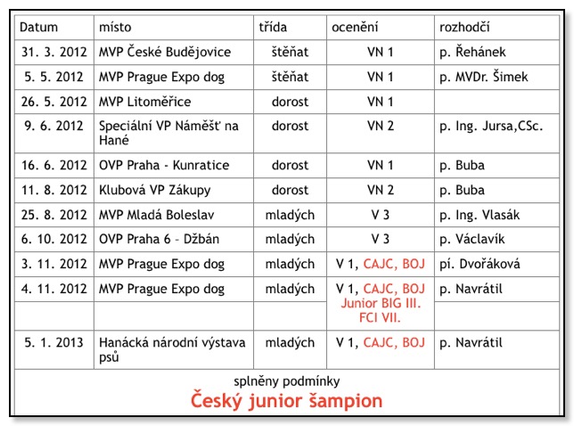 Pasted Graphic 6