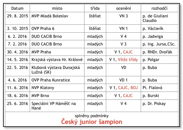 Pasted Graphic 2